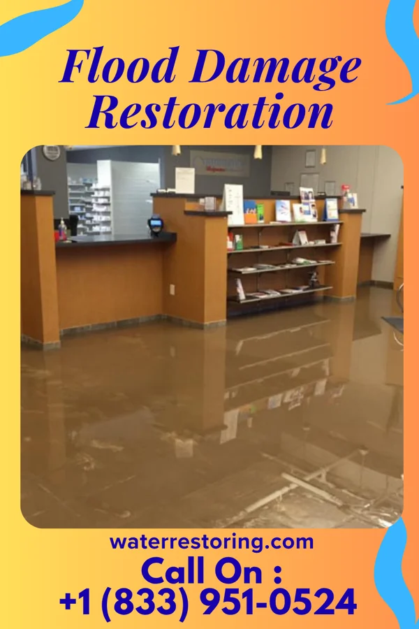 Flood Damage Restoration in Loretto, NE